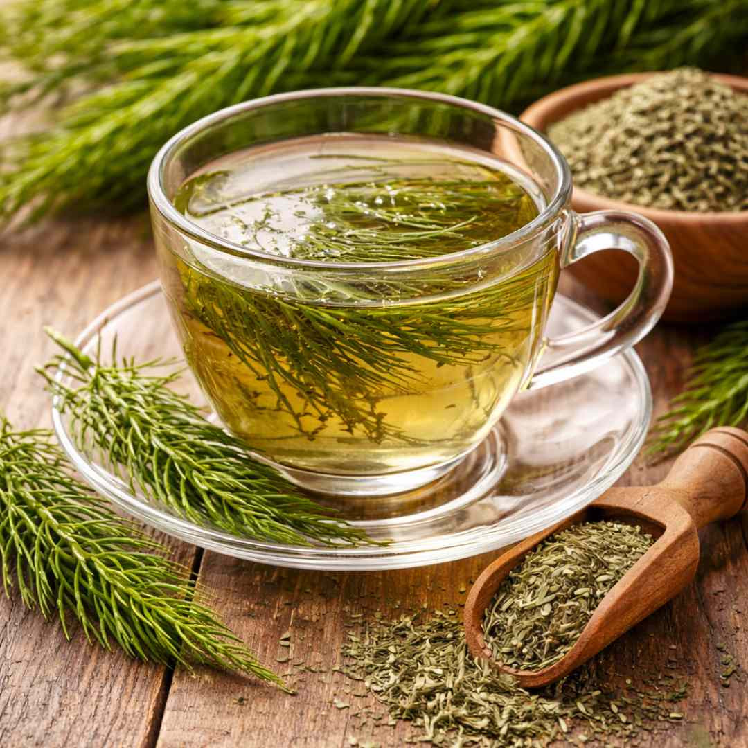 Skodelica presličinega čaja na leseni mizi z zelišči njivske preslice v ozadju, pripravljena za podporo sečilom in vezivnemu tkivu.